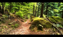 Descente du Schanzkopf vers la Zorn Descente du Schanzkopf vers la Zorn