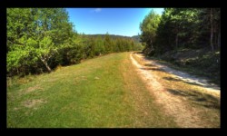 Dans le vallon de la Zorn Blanche Dans le vallon de la Zorn Blanche