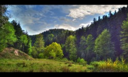 Vallon de la Zorn Blanche. Emplacement de la MF de Herrenmuhlen Dans le vallon de la Zorn Blanche