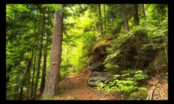 Descente du Schanzkopf vers la Zorn Descente du Schanzkopf vers la Zorn