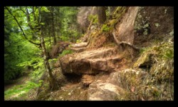 Descente du Schanzkopf vers la Zorn Descente du Schanzkopf vers la Zorn