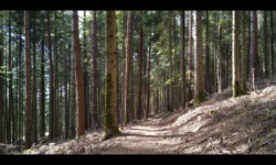 Vers la Croix du Loup Vers la Croix du Loup