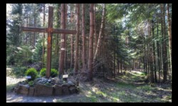 La Croix du Loup à Dabo La Croix du Loup à Dabo