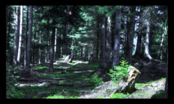 Forêt de Ludwigsberg Forêt de Ludwigsberg