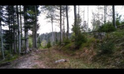 En allant vers Schnokenlochmatt En allant vers Schnokenlochmatt