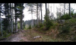 En allant vers Schnokenlochmatt En allant vers Schnokenlochmatt