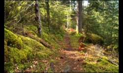 Descente de Breithardthal Descente de Breithardthal