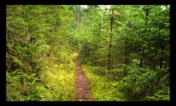 Descente de Breithardthal Descente de Breithardthal