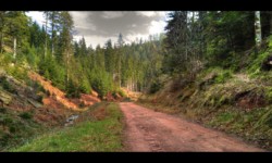 Herrenmuhlen. La Zorn Blanche Herrenmuhlen. La Zorn Blanche