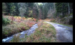 Vallée de la Zorn Blanche Vallée de la Zorn Blanche