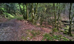 Vers Enteneck. La Zorn Blanche Vers Enteneck. La Zorn Blanche