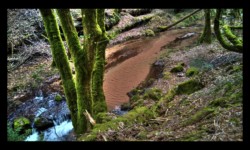 Vers Enteneck. La Zorn Blanche Vers Enteneck. La Zorn Blanche