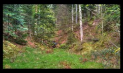 Affluent de la Zorn Blanche Affluent de la Zorn Blanche