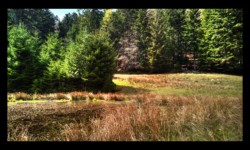 Schnokenlochmatt Schnokenlochmatt