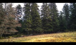 Schnokenlochmatt Schnokenlochmatt