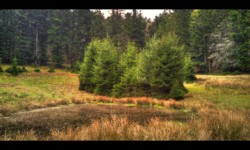 Schnokenlochmatt Schnokenlochmatt