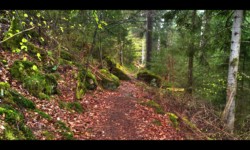 Descente de Breithardthal Descente de Breithardthal