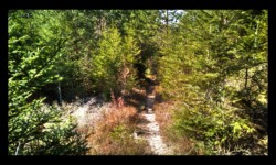 Sentier vers Petersmuehl Sentier vers Petersmuehl