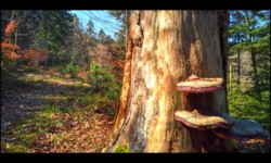 près de Beimbach près de Beimbach