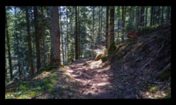 Descente vers la Zorn Descente vers la Zorn