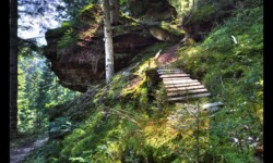 Descente vers la Zorn Descente vers la Zorn