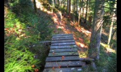 Descente vers la Zorn Descente vers la Zorn