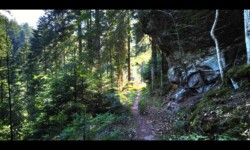 Descente vers la Zorn Descente vers la Zorn