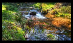 La Zorn jaune La Zorn jaune