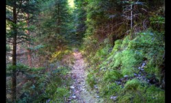 En montant le Staufthal En montant le Staufthal