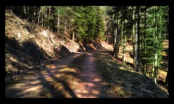Piste longeant la vallée de la Zorn Piste longeant la vallée de la Zorn