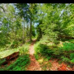 Sentier vers le Pain de Sucre Sentier vers le Pain de Sucre
