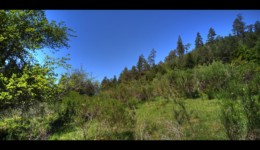 Vallée de la Canceley - Emplacement de l'ancienne maison forestière Vallée de la Canceley