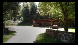 Vallée de la Canceley en 2020 - plus de nature sauvage Vallée de la Canceley en 2020