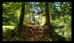 Vallée de la Canceley en 2020 -abri sauvage Vallée de la Canceley en 2020