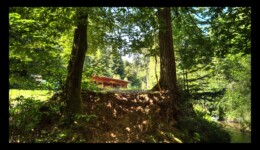 Vallée de la Canceley en 2020 -abri sauvage Vallée de la Canceley en 2020