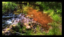 La Canceley La Canceley