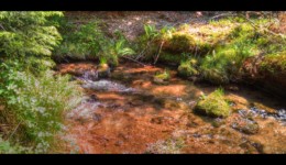 La Canceley La Canceley