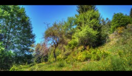 Vallée de la Canceley - Colbeck Vallée de la Canceley - Colbeck