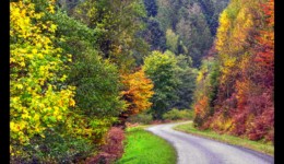 Vallée de la Canceley en 2006 Vallée de la Canceley en 2006