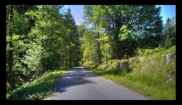 Vallée de la Canceley en 2020 Vallée de la Canceley en 2020
