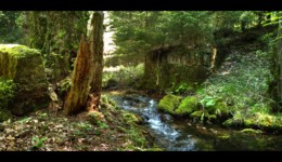 La Canceley La Canceley