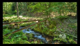 Rivière de la Canceley - ancien passage du chemin de fer pour le transport du bois Rivière de la Canceley