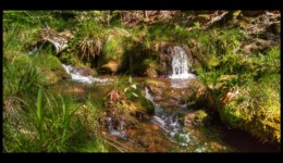 Ruisseau de la Canceley Ruisseau de la Canceley