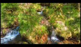 Ruisseau de la Canceley