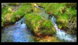 Ruisseau de la Canceley Ruisseau de la Canceley