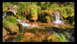 Ruisseau de la Canceley Ruisseau de la Canceley