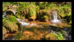 Ruisseau de la Canceley Ruisseau de la Canceley