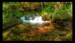 Ruisseau de la Canceley Ruisseau de la Canceley