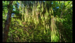 Vallée de la Canceley Vallée de la Canceley