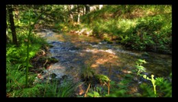 Rivière de la Canceley Rivière de la Canceley